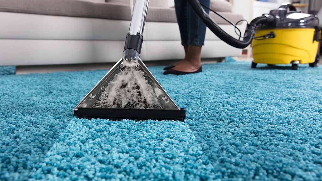 The Importance of Professional Carpet Cleaning