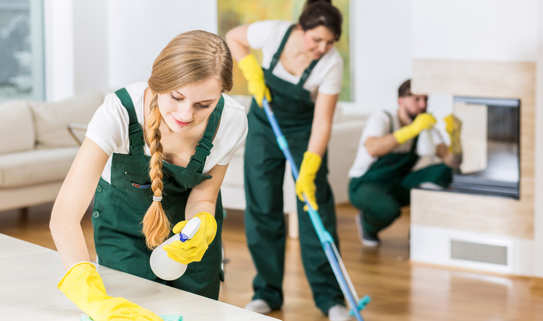 Regular House Cleaning in Edmonton