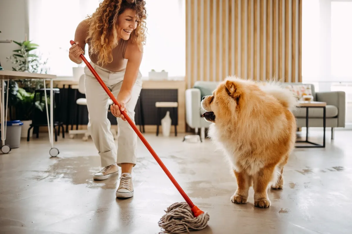 Professional House Cleaning After Pets