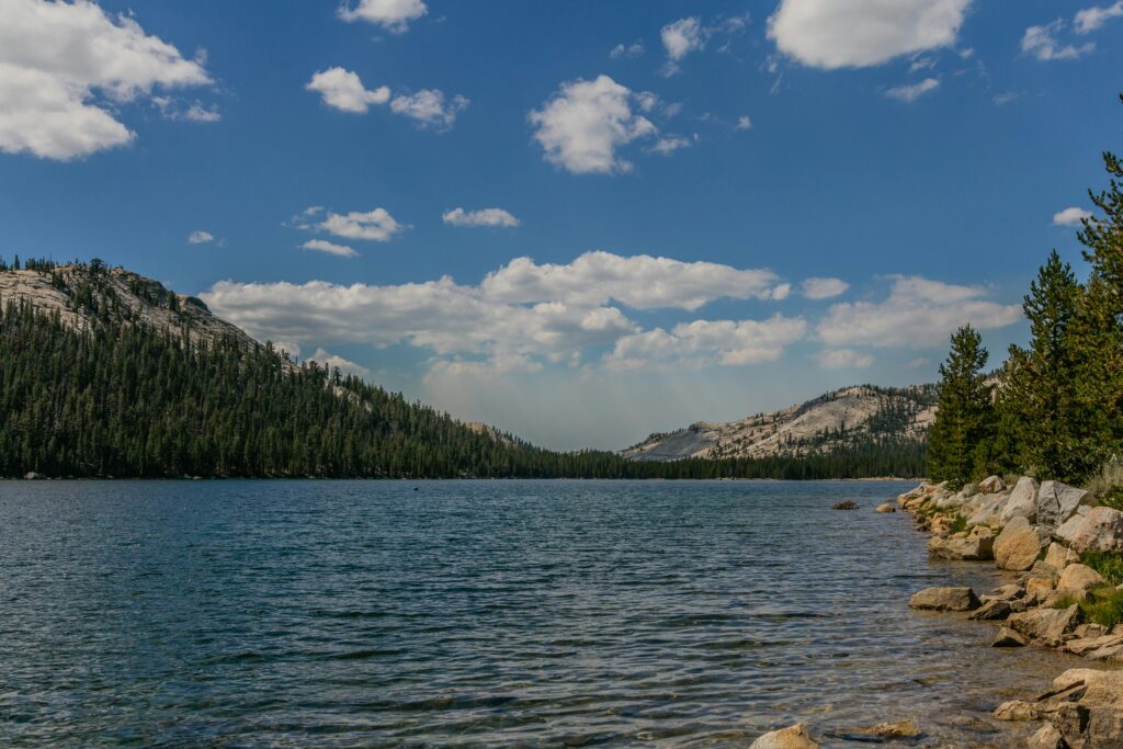 Successful River Cleaning Initiatives in the USA